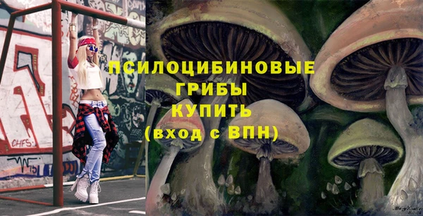 гидра Арсеньев