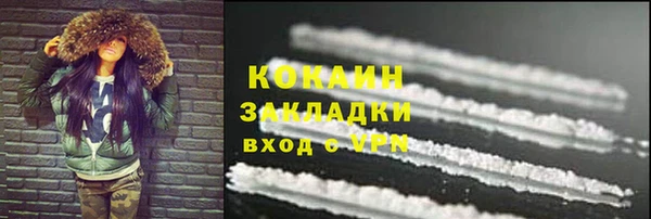 гидра Арсеньев