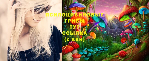 гидра Арсеньев
