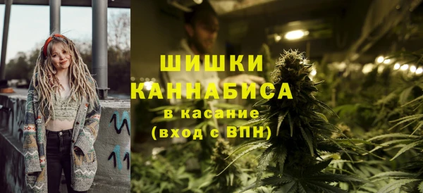 гидра Арсеньев