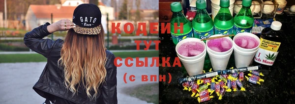 гидра Арсеньев