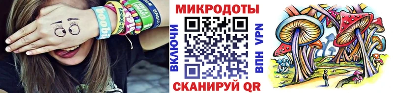 Псилоцибиновые грибы Cubensis наркошоп Салаир